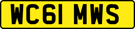 WC61MWS