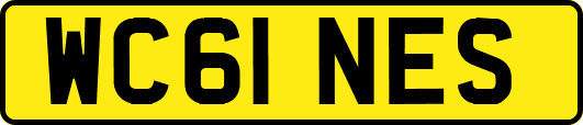 WC61NES