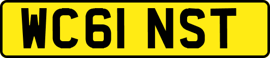 WC61NST