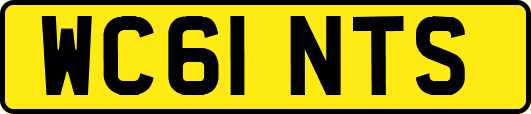 WC61NTS