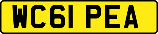 WC61PEA
