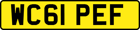WC61PEF