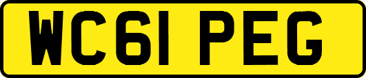 WC61PEG