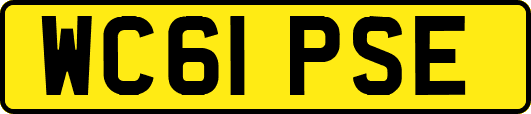 WC61PSE