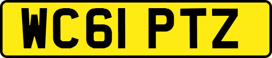 WC61PTZ