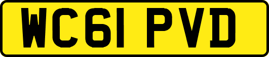 WC61PVD