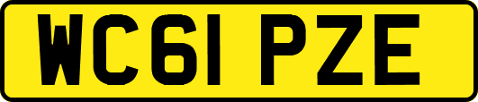 WC61PZE