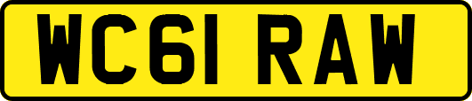WC61RAW