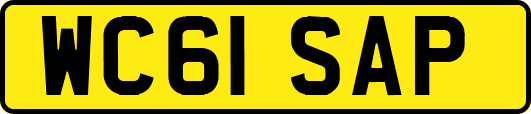 WC61SAP