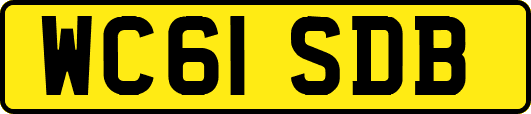WC61SDB