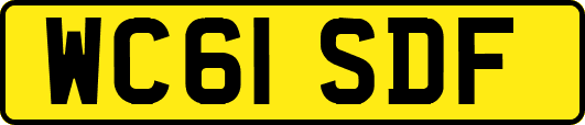WC61SDF