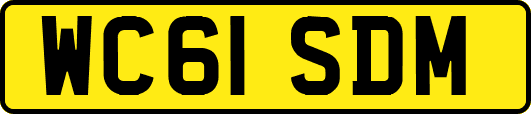 WC61SDM