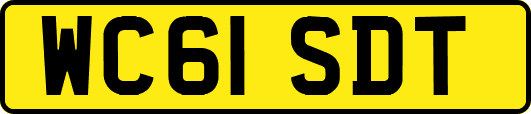 WC61SDT