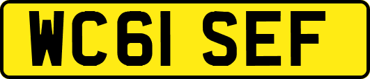 WC61SEF