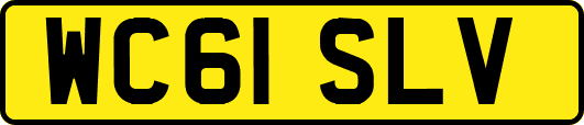 WC61SLV
