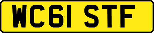 WC61STF