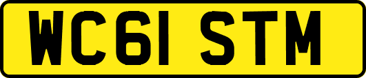 WC61STM