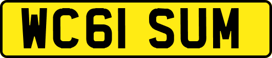 WC61SUM