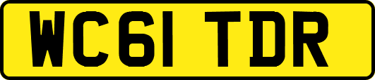 WC61TDR