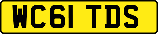 WC61TDS