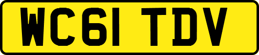 WC61TDV