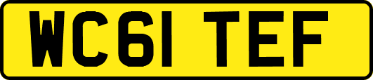 WC61TEF