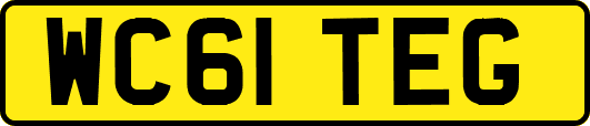 WC61TEG