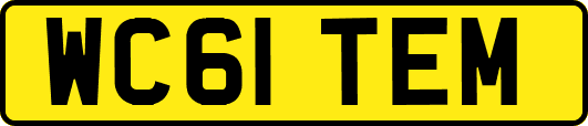 WC61TEM