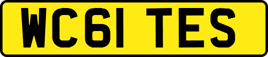 WC61TES