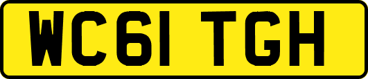 WC61TGH