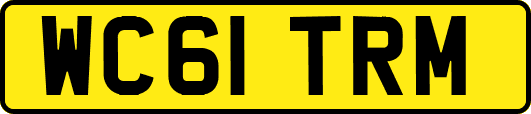 WC61TRM