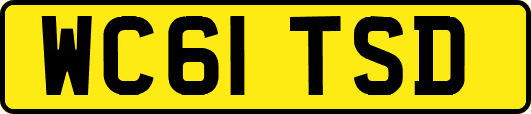 WC61TSD