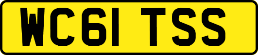 WC61TSS
