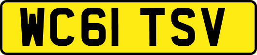 WC61TSV