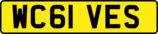 WC61VES