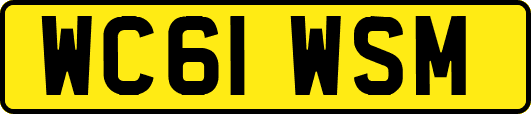 WC61WSM