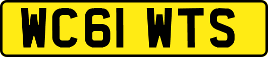 WC61WTS