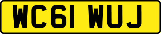 WC61WUJ