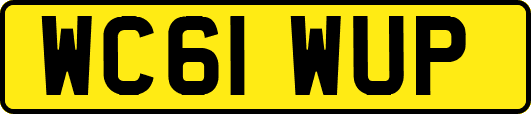 WC61WUP