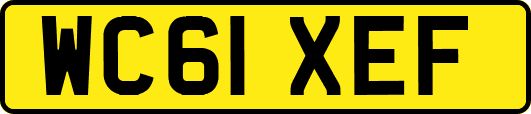 WC61XEF