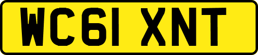 WC61XNT