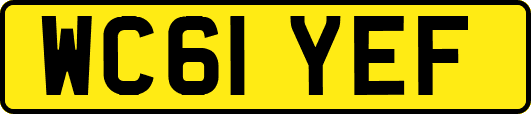 WC61YEF