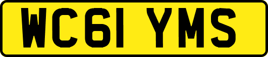WC61YMS