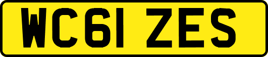 WC61ZES