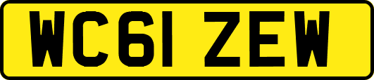 WC61ZEW