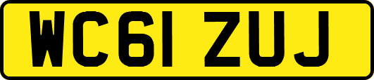 WC61ZUJ