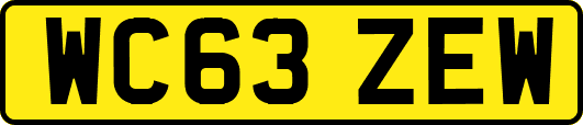 WC63ZEW