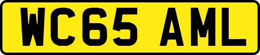 WC65AML