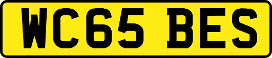 WC65BES