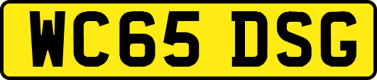 WC65DSG
